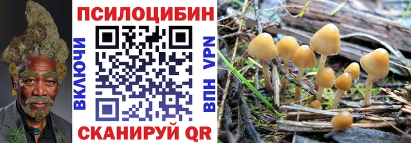 Псилоцибиновые грибы Magic Shrooms  Купить  Бологое 